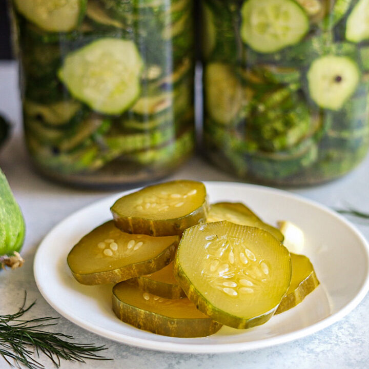 خیارشور تخمیری - ۵۰۰ گرم